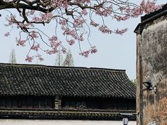 -乌镇景区