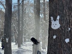 -北海道神宫