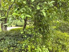 -南京特殊教育师范学院(燕子矶校区)