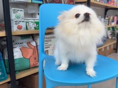 -佳雯宠物医院·皮肤科·内外科(春晓路分院)