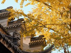 -龙潭水乡