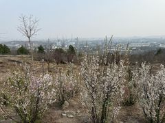 -白水寺森林公园