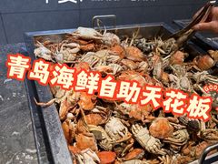 -禾斗海鲜自助(市南银座店)