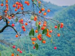 -溪口-滕头旅游景区