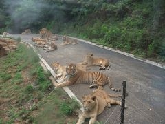 -大连森林动物园