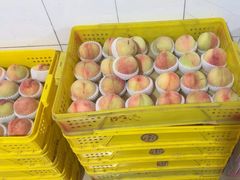 -老袁家蜜桃农场·阳山水蜜桃