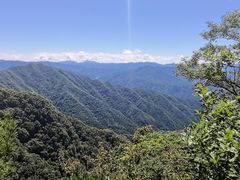 -王顺山国家森林公园