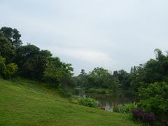 -张坝桂圆林公园