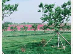 -古柏渡飞黄旅游区