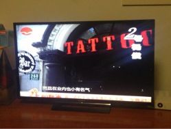 TV show-TATTOO FAMILY刺青纹身工作室