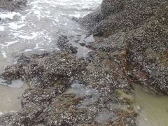 -沙扒湾