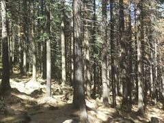 -芦芽山旅游度假区
