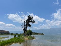 -大理洱海