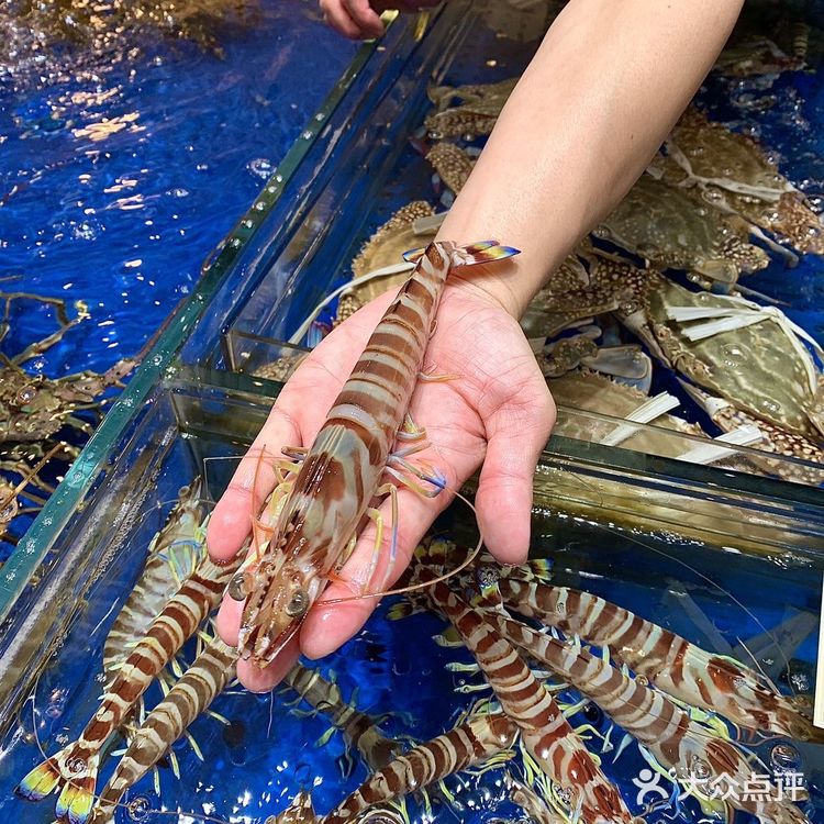 这家潮州菜好赞！就在拱北口岸耶！海鲜好新鲜！