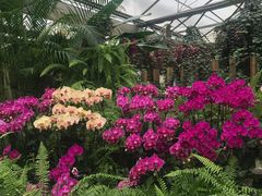 -兰陵国家农业公园