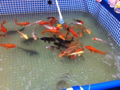 iphone_upload_pic-南通CBD大有境