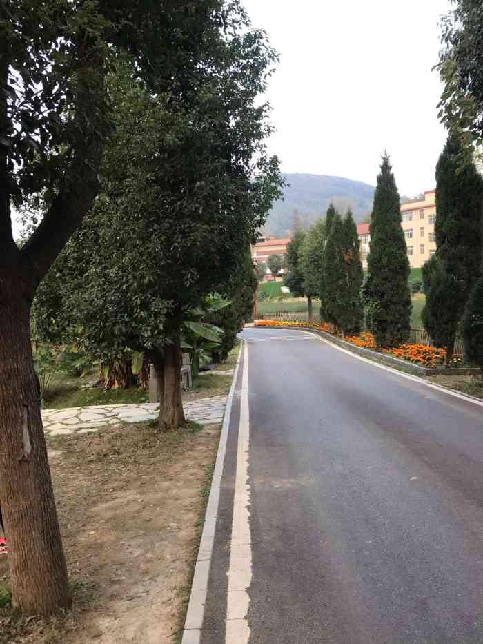 月英花谷-"古隆中景区的一个景点,不知道是不是因为十.