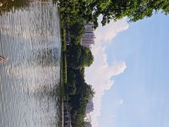 -荔湾湖公园