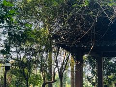 -水濂山森林公园