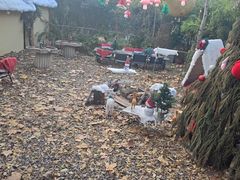 -HERRE·FARM 赫尔露营农场·团建聚会包场