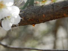 -福建天门山
