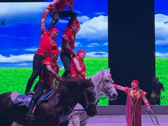 -泉城欧乐堡梦幻世界