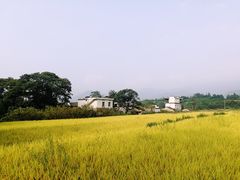 -塔川景区