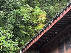 -宁波市保国寺古建筑博物馆