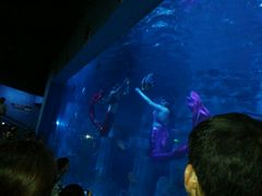 -石家庄极地海洋世界