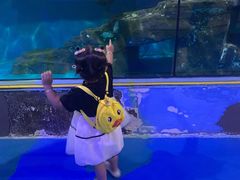 -台州海洋世界
