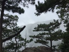 -杭州天目山静雅居农家乐