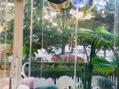 -纳吉亚猫专科动物医院·北北分院