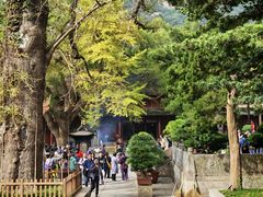 -普陀山风景名胜区-法雨禅寺