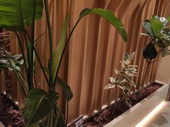 -Bco豆库(星耀天地店)