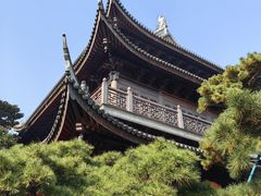 -龙华素斋(龙华路店)