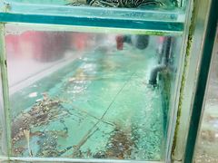 -大茄来海鲜餐厅(亚洲城分行)