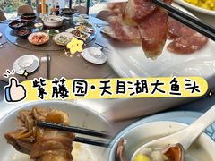 -紫藤园·天目湖大鱼头(南山竹海店)