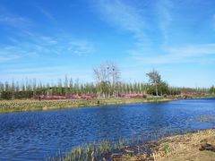 -马家湾湿地公园