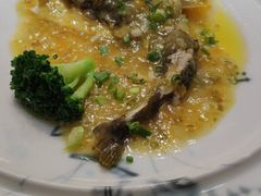 -松云泽