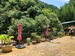 -将军关探险漂流