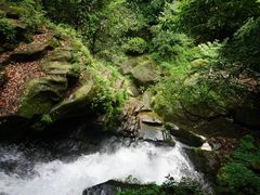 -碧峰峡风景区