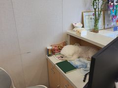 -瑞鹏宠物医院·骨科·猫科·内科(第一中心)
