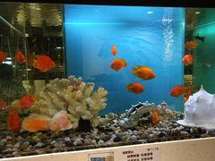 水产区-瑞伯克牛排自助餐厅天一广场店