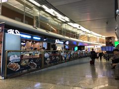 -谢列梅捷沃国际机场