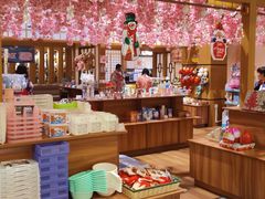 -大江户·温泉洗浴(浑南店)