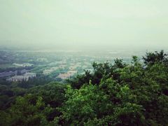 -上海佘山国家森林公园西佘山园