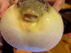 -永安鱼庄·镇江菜(丁卯店)