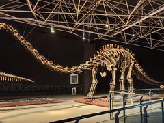 -世界恐龙谷景区