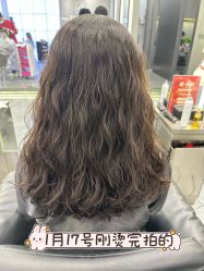 -FASHION PALACE hair+