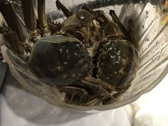 -星伦多自助料理(华润万象城店)
